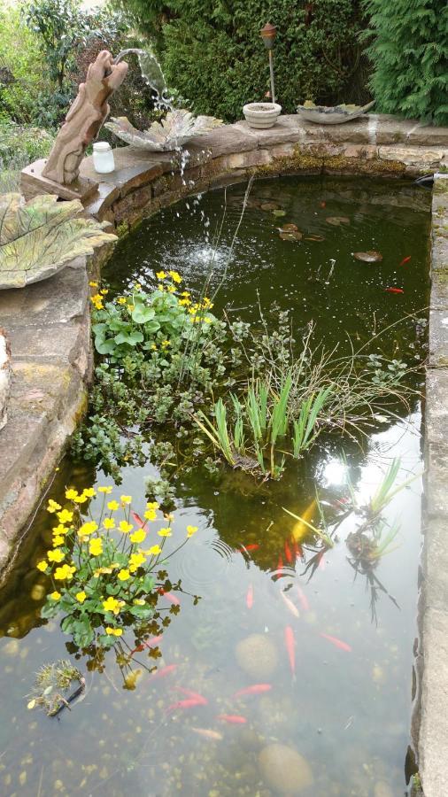 Le Jardin Des Secrets Acomodação com café da manhã La Voivre  Exterior foto