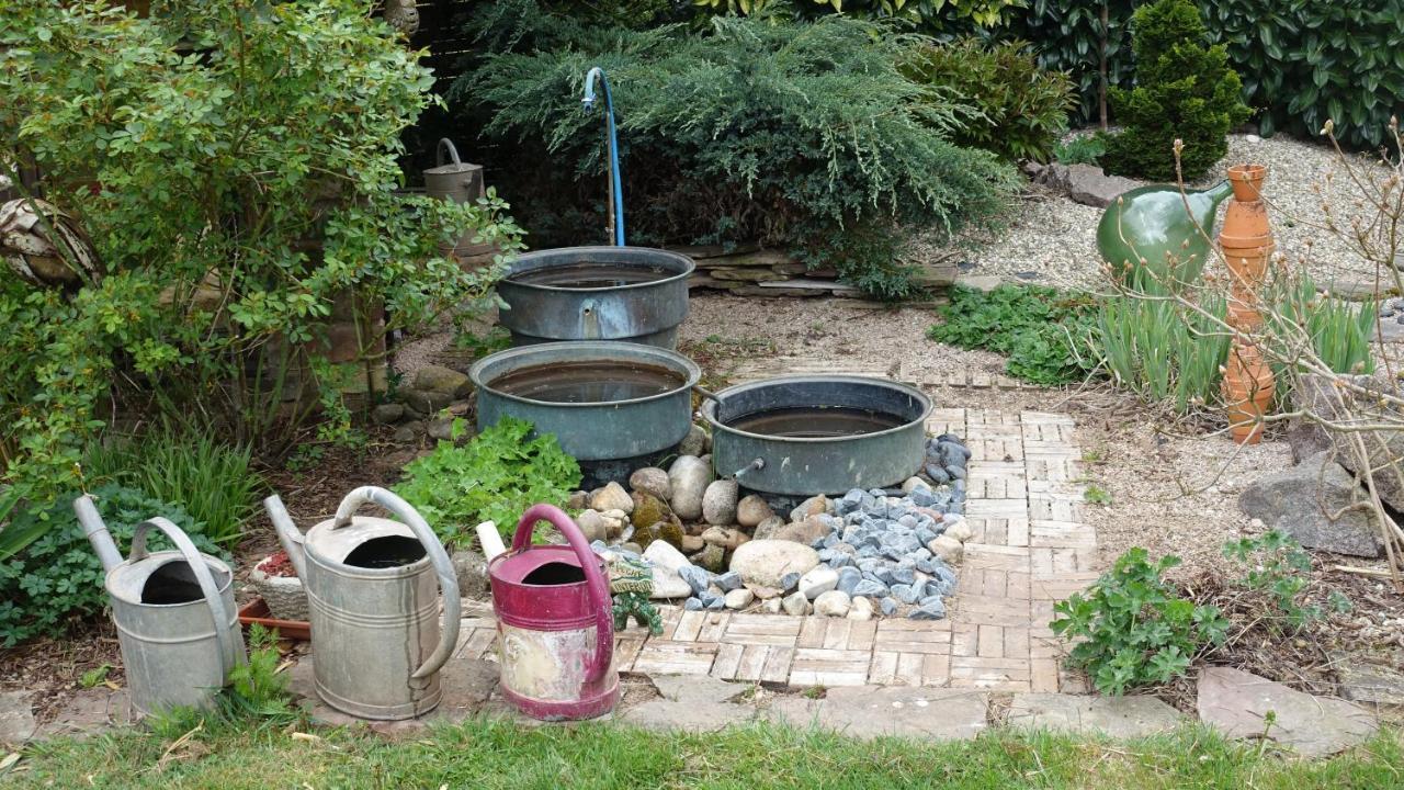 Le Jardin Des Secrets Acomodação com café da manhã La Voivre  Exterior foto